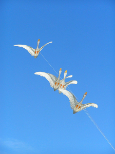 cerf-volant de ManuBambou